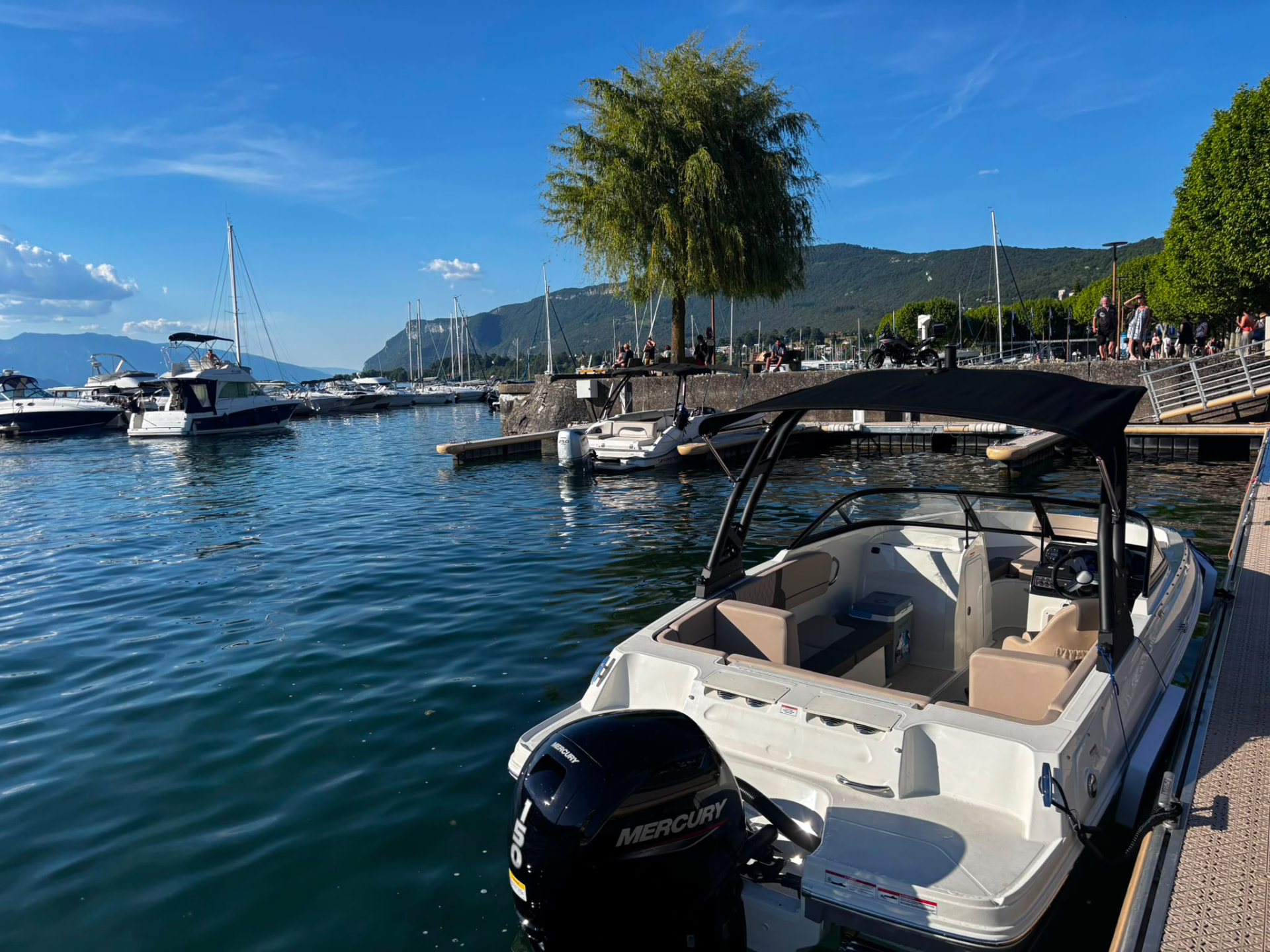 Le port d'embarquement du Lac du Bourget, ses pontons de bois alignés et un grand saule pleureur au bord de l'eau